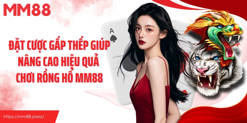 Đặt cược gấp thếp giúp nâng cao hiệu quả chơi Rồng Hổ MM88